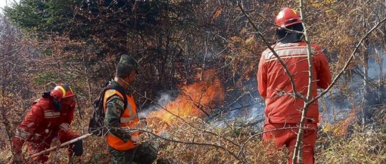 Habi në Greqi/ 44-vjeçarja ndizte zjarre për të flirtuar me zjarrfikësit, dënohet me burg dhe gjobë