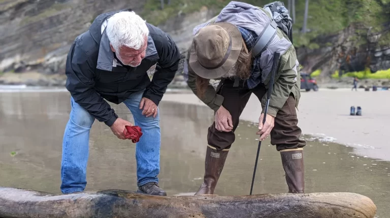 Real Life ‘Goonies’? A Mysterious Shipwreck Found Off the Oregon Coast