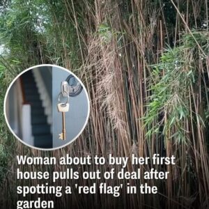 Woman about to buy her first house pulls out of deal after spotting a ‘red flag’ in the garden