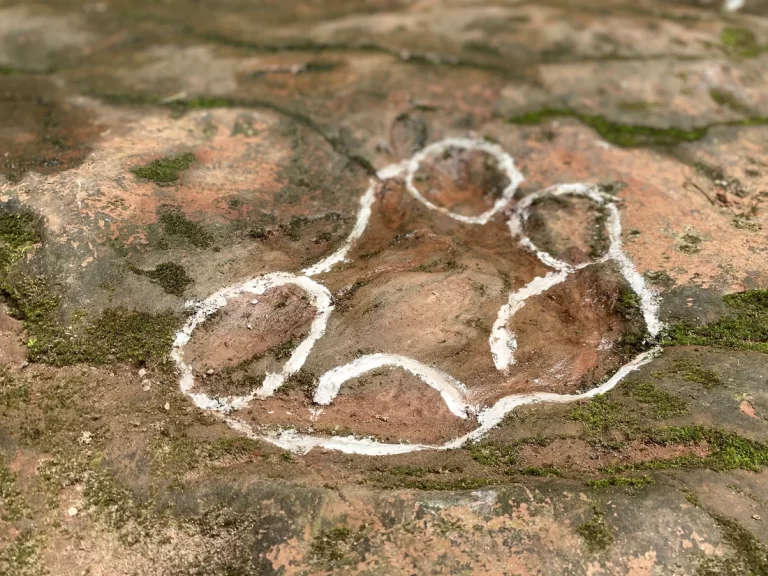 A diner discovered 100 million-year-old dinosaur footprints in a restaurant