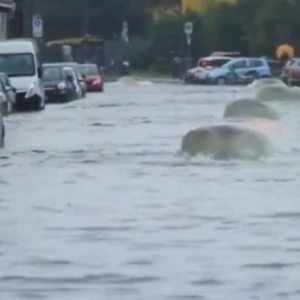 Moti i keq krijon probleme në Itali, rrugët kthehen në lumenjë