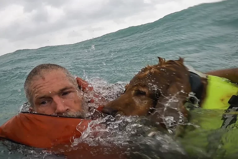 The Coast Guard save a man and his dog from a sinking boat off the coast of Florida