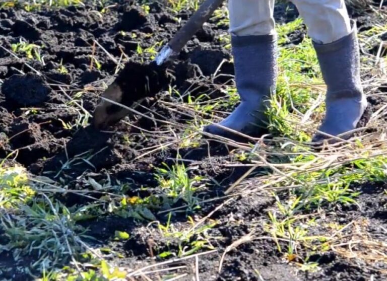 Po pastronte gropën me gëlqere, qytetari nga Gramshi nxjerr “thesar” nga nëntoka