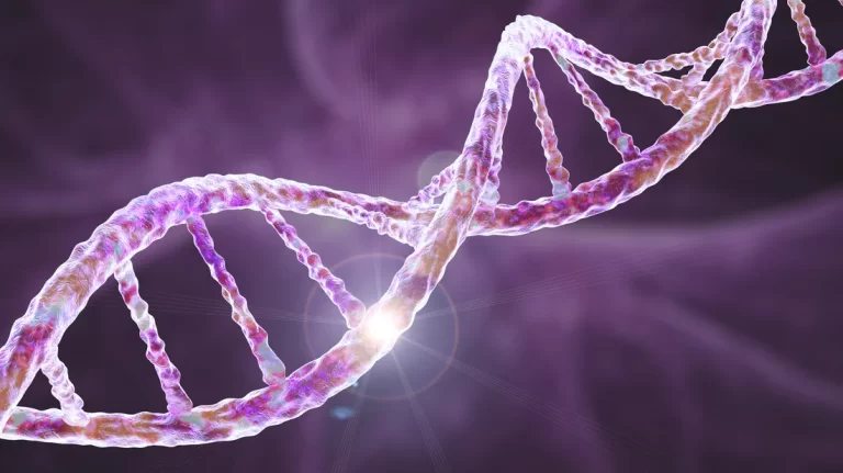 The Secret History of DNA