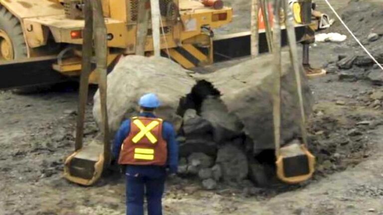 Excavator Busts Open Rock, Had No Idea What He’s Done