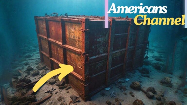 Underwater Robot Captures Sunken Container, Researchers Turn Pale When They Open It