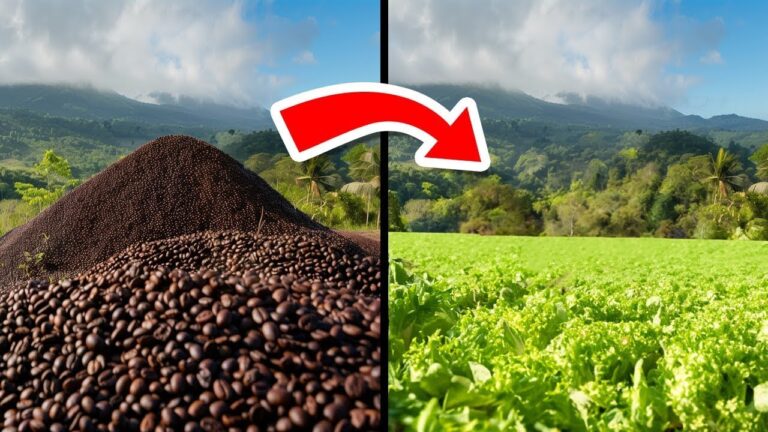 They Dumped 1 Million Pounds of Coffee. What Grew Made Them Rich